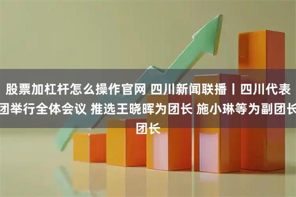 股票加杠杆怎么操作官网 四川新闻联播丨四川代表团举行全体会议 推选王晓晖为团长 施小琳等为副团长