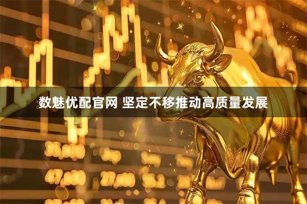 数魅优配官网 坚定不移推动高质量发展
